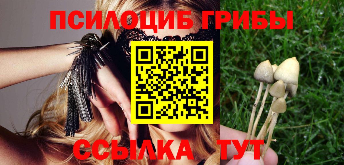 Кемерово  Галлюциногенные грибы мицелий  Вход с VPN  Галлюциногенные грибы GOLDEN TEACHER 